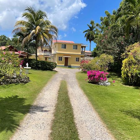 Little Shaw Park Guest House Ocho Rios Exteriér fotografie