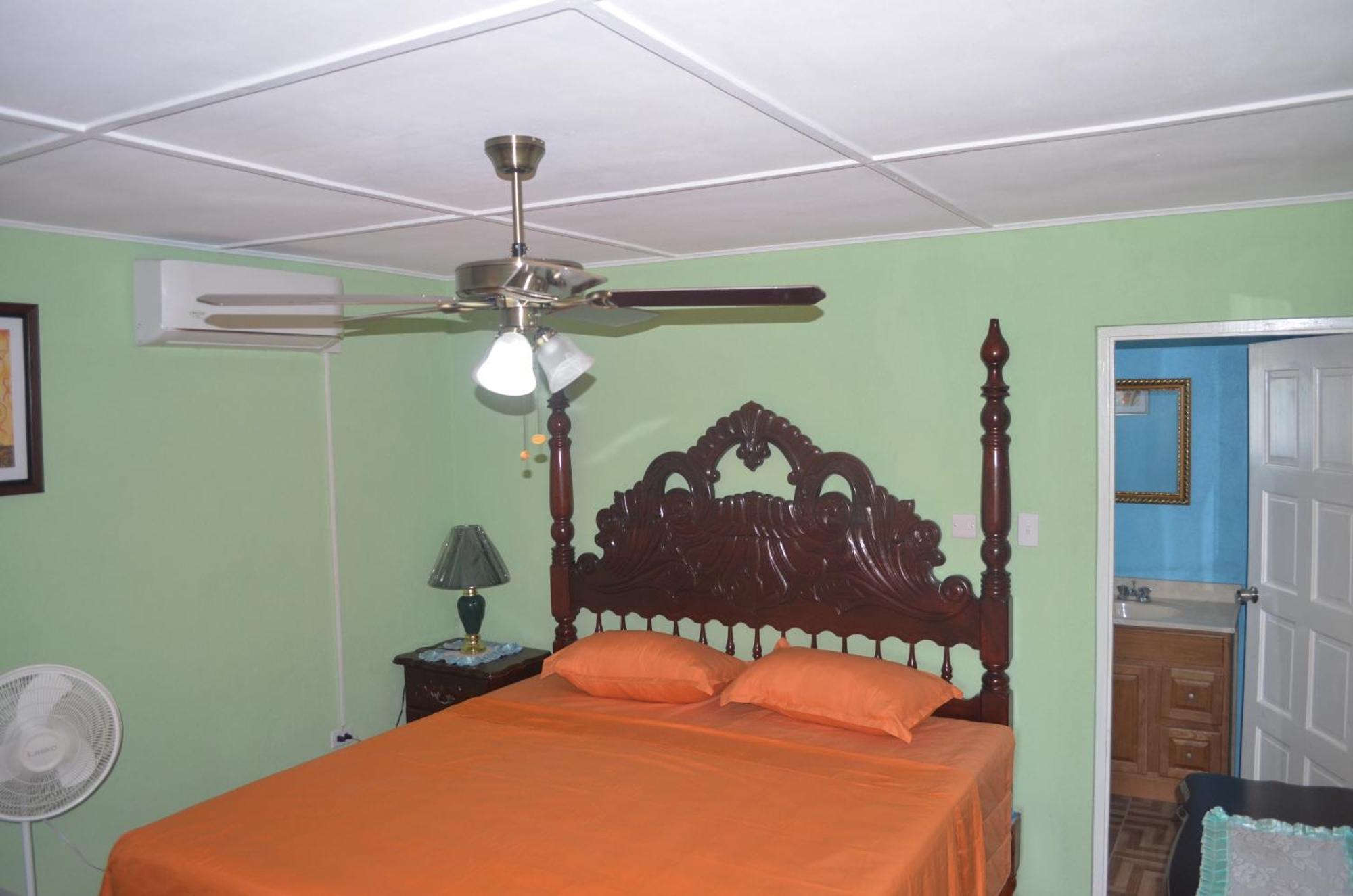 Little Shaw Park Guest House Ocho Rios Exteriér fotografie