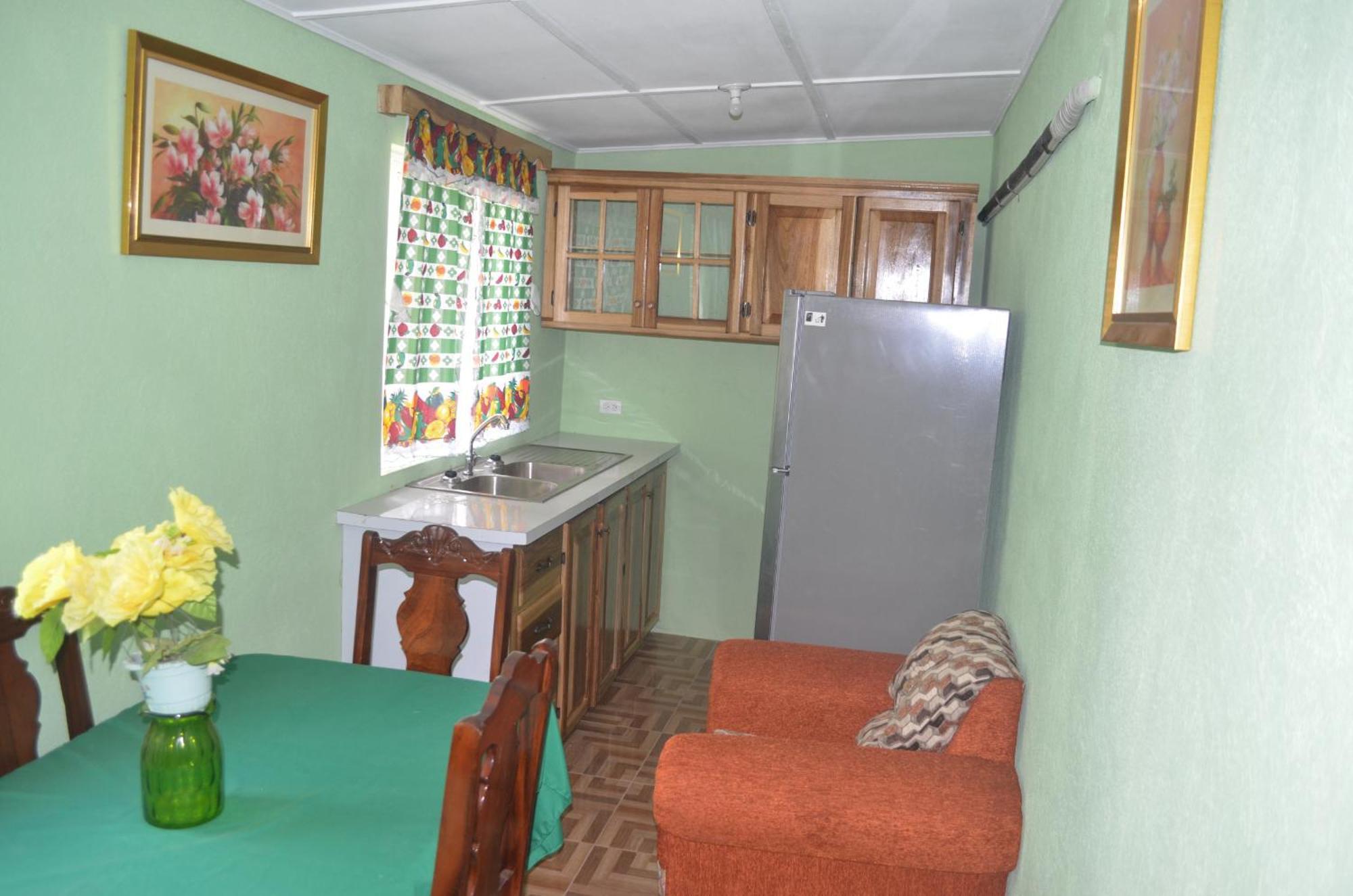 Little Shaw Park Guest House Ocho Rios Exteriér fotografie