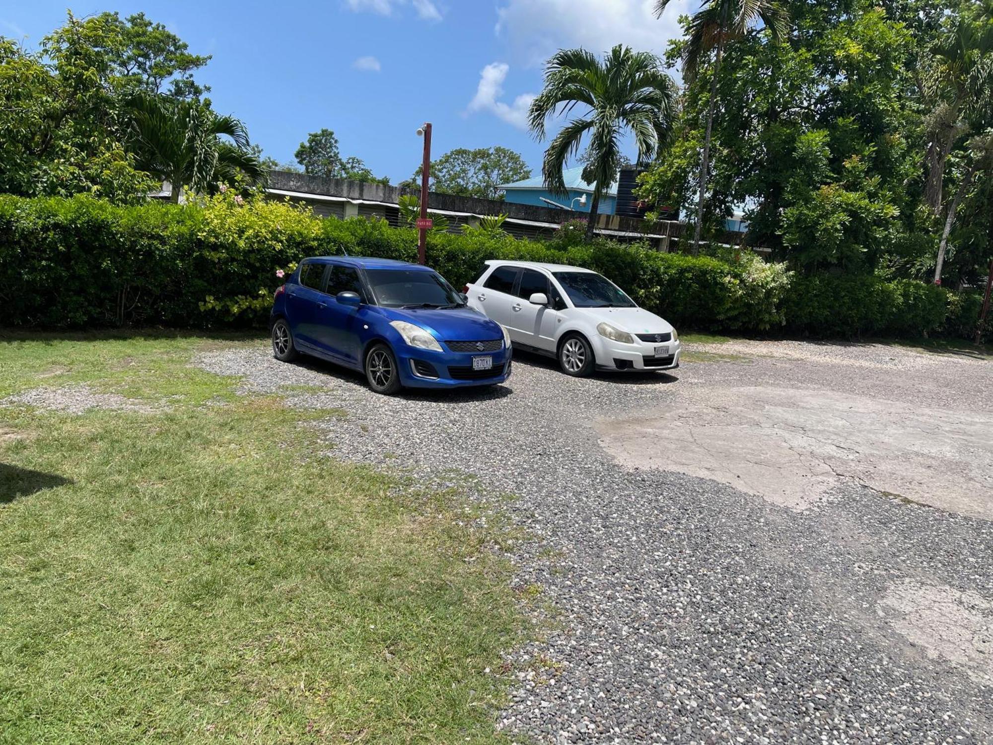 Little Shaw Park Guest House Ocho Rios Exteriér fotografie