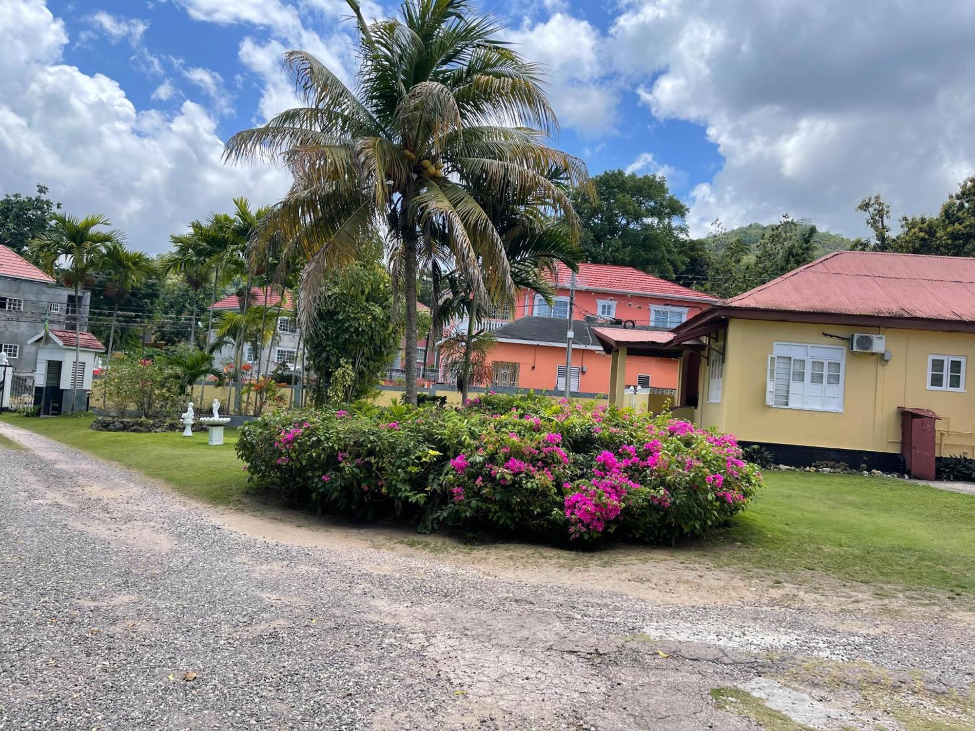 Little Shaw Park Guest House Ocho Rios Exteriér fotografie